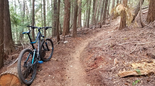 Webster Road Trail